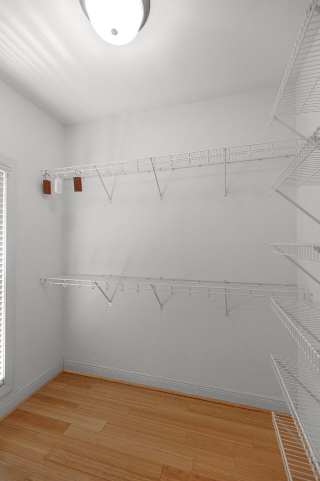 707 Edinburgh Way, Dothan, AL 36305 - walk in closet with light wood-style flooring