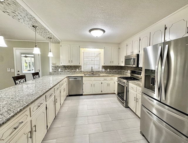 1006 Northfield Cir, Dothan, AL 36301 - kitchen with stainless steel appliances, a sink, plenty of natural light, a peninsula, and ornamental molding