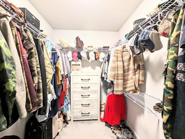 spacious closet featuring light colored carpet