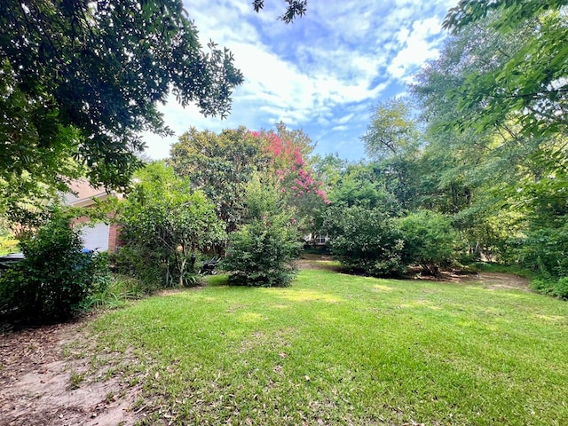 508 N Englewood Ave, Dothan, AL 36303 - view of grassy yard