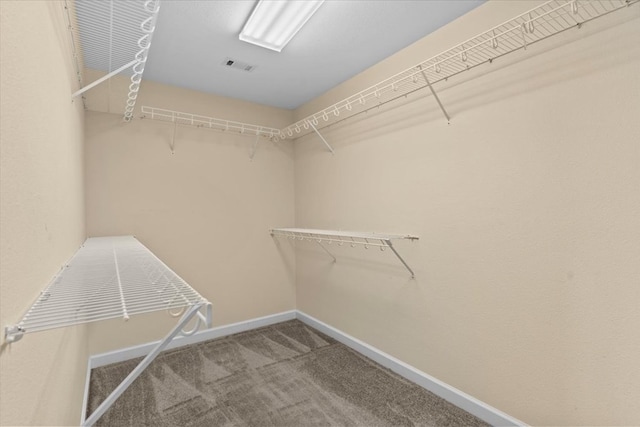 4808 Crystal Springs Rd, Red Level, AL 36474 - walk in closet with visible vents and carpet