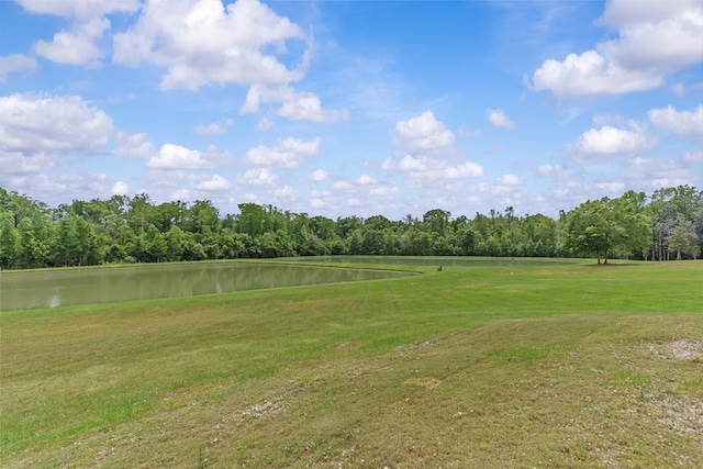 view of yard with a water view and a view of trees