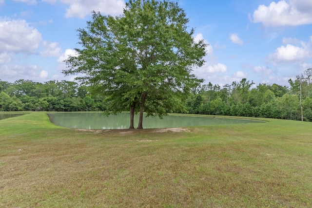 view of yard with a water view and a view of trees