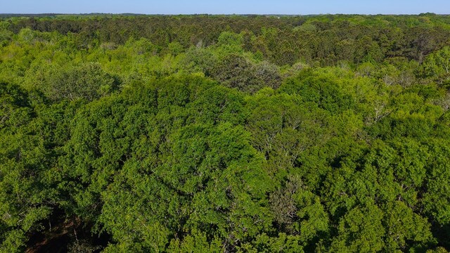 0 S State Highway 109, Slocomb, AL 36301