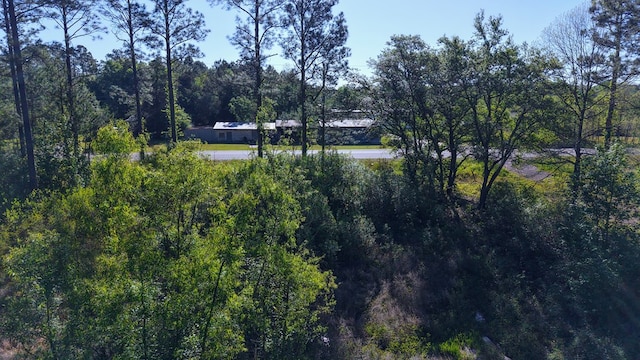 0 S State Highway 109, Slocomb, AL 36301