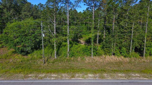 0 S State Highway 109, Slocomb, AL 36301