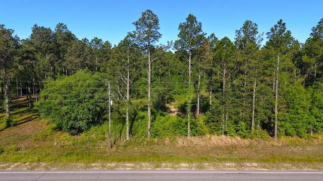 0 S State Highway 109, Slocomb, AL 36301