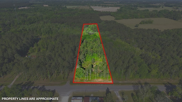 0 S State Highway 109, Slocomb, AL 36301
