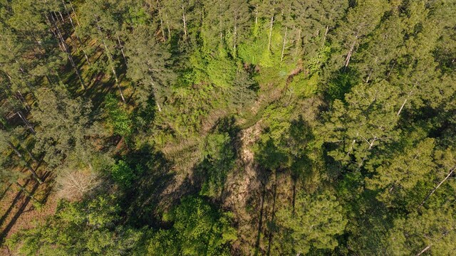 0 S State Highway 109, Slocomb, AL 36301
