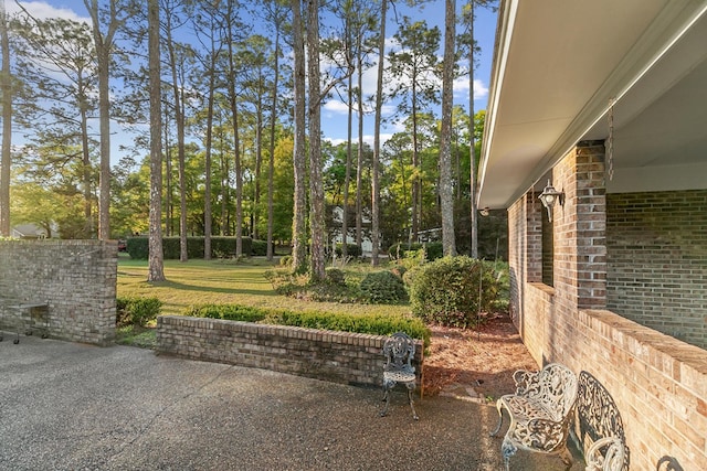 3408 Huntington Pl, Dothan, AL 36303 - view of grassy yard featuring view of scattered trees and a patio area
