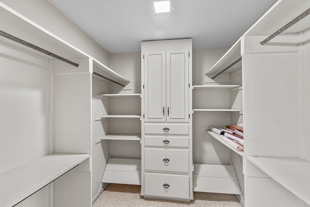 3408 Huntington Pl, Dothan, AL 36303 - view of spacious closet