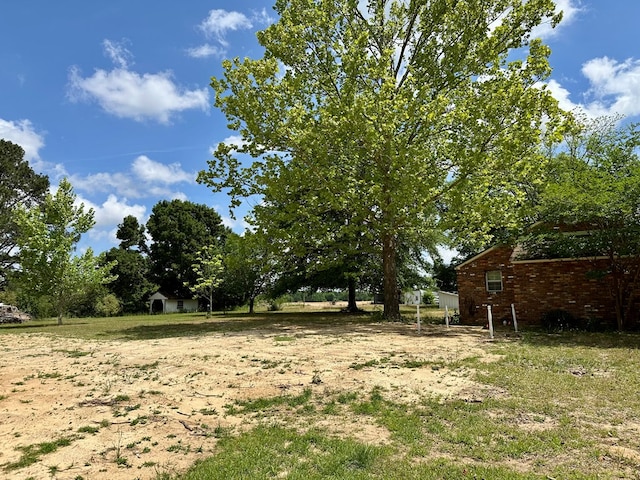 6537 E State Highway 52, Hartford, AL 36344 - view of yard