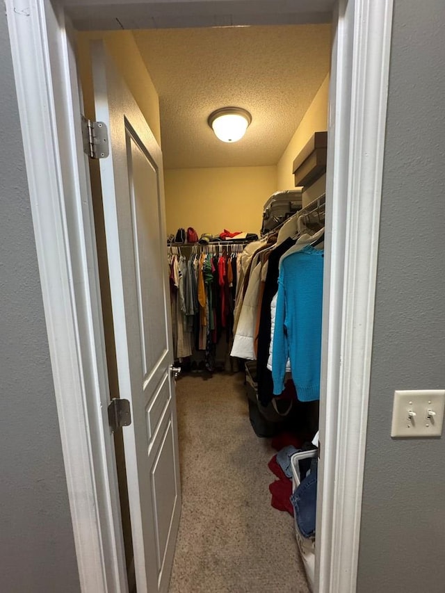 spacious closet featuring carpet