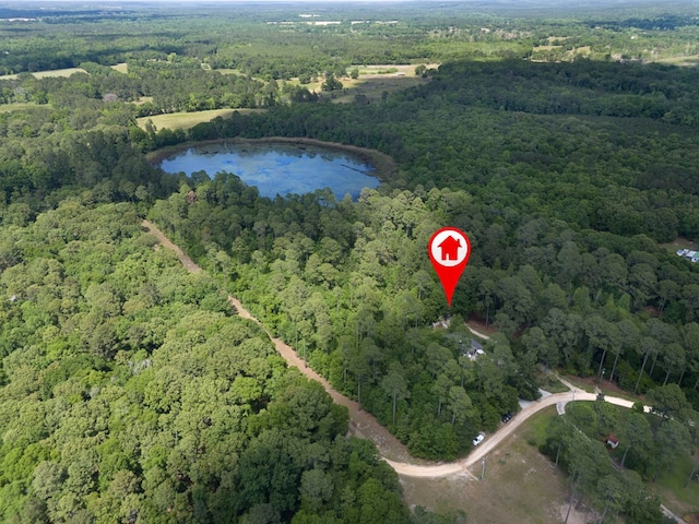 74 Lagoon Way, Ft Gaines, GA 39851 - photo 5