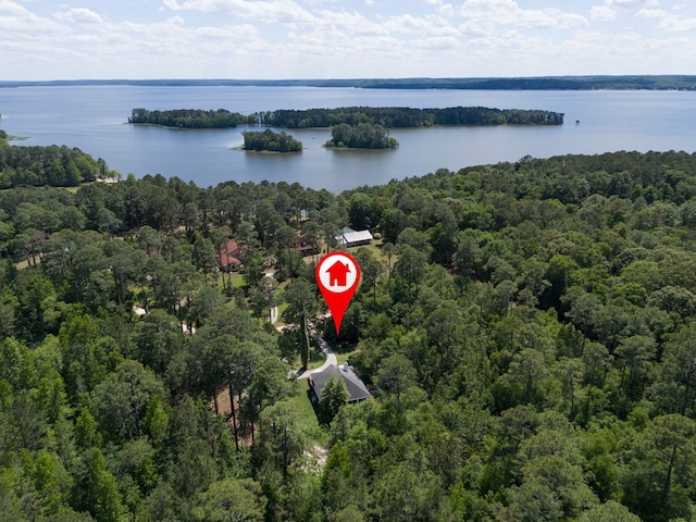 74 Lagoon Way, Ft Gaines, GA 39851 - photo 3