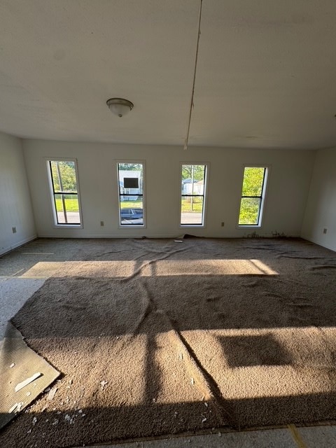 118 E Campbell Ave, Geneva, AL 36340 - unfurnished room with carpet floors and a healthy amount of sunlight