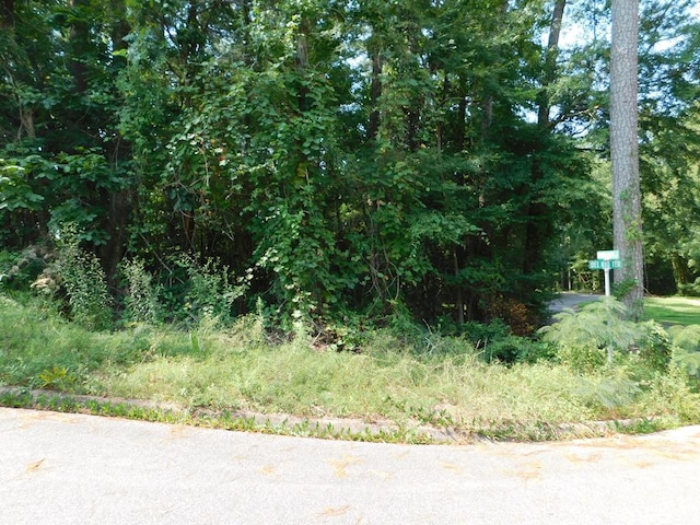 0 Del Rio Ter, Ozark AL, 36360 land for sale