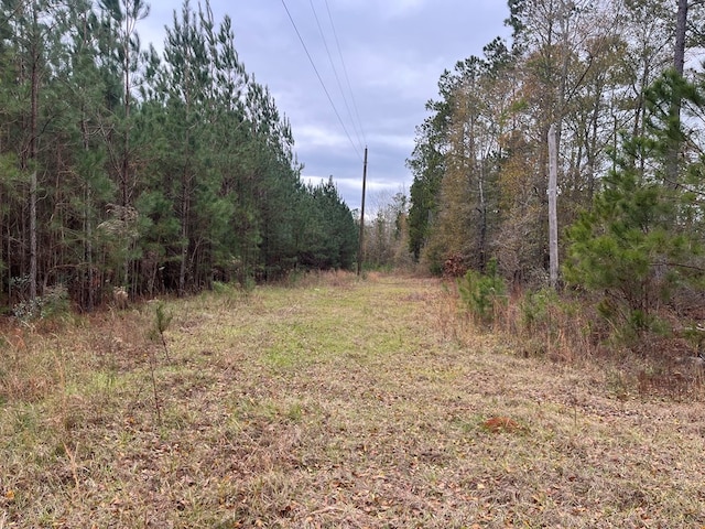 Listing photo 2 for TBD County Road 86, Abbeville AL 36310