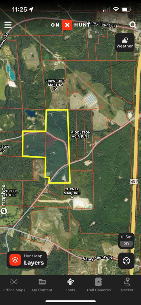 TBD County Road 86, Abbeville AL, 36310 land for sale