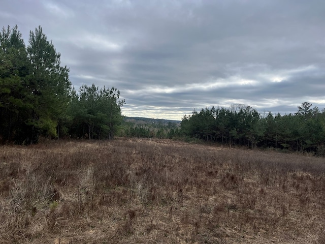 Listing photo 3 for TBD County Road 86, Abbeville AL 36310