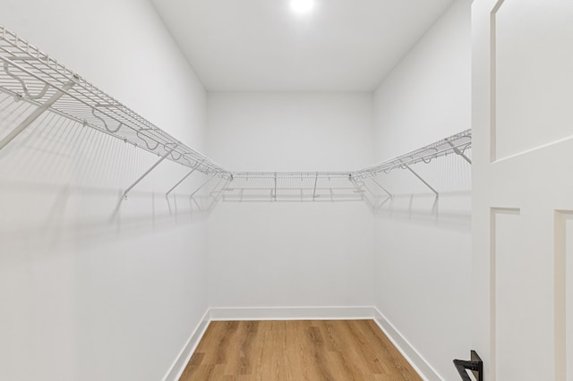 walk in closet with wood finished floors