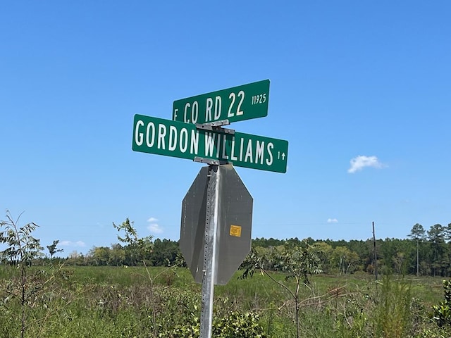 LOT1 County Road 22, Columbia, AL 36319