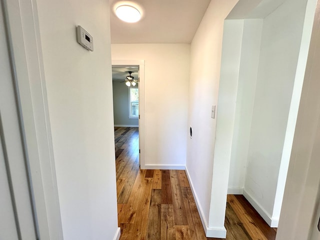 hallway featuring dark hardwood / wood-style flooring