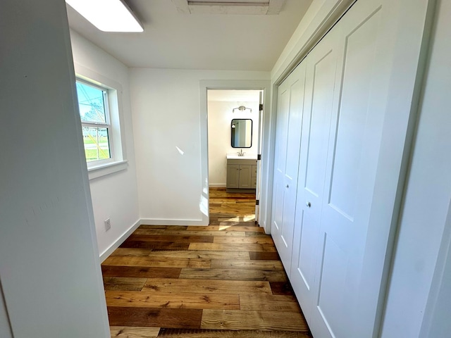 corridor featuring sink and dark wood-type flooring