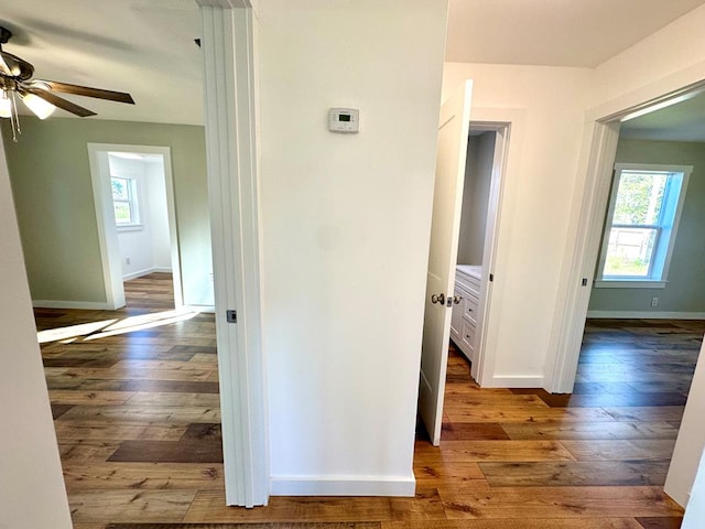 hall with hardwood / wood-style floors