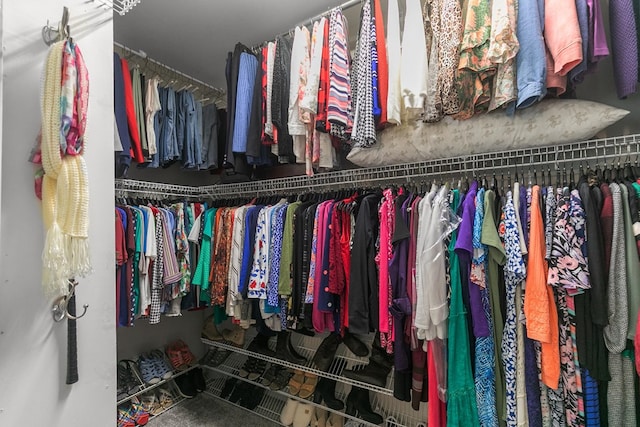 409 Drake Dr, Dothan, AL 36605 - view of spacious closet