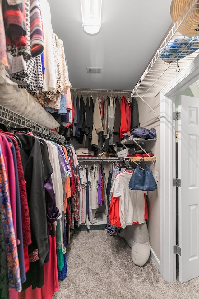 409 Drake Dr, Dothan, AL 36605 - walk in closet featuring carpet