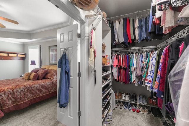 409 Drake Dr, Dothan, AL 36605 - spacious closet featuring carpet flooring and a ceiling fan