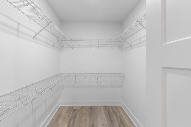 walk in closet featuring wood finished floors