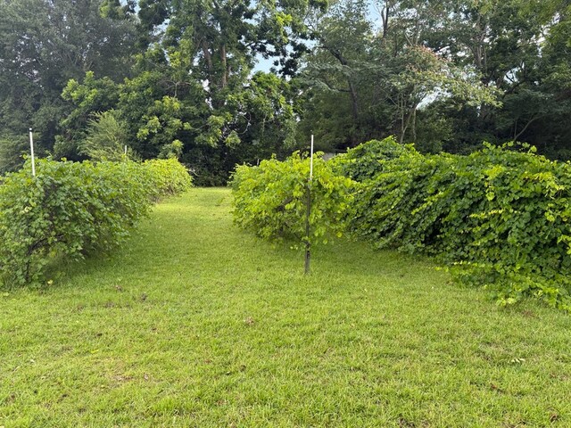4443 Flowers Chapel Rd, Dothan, AL 36305 - photo 30