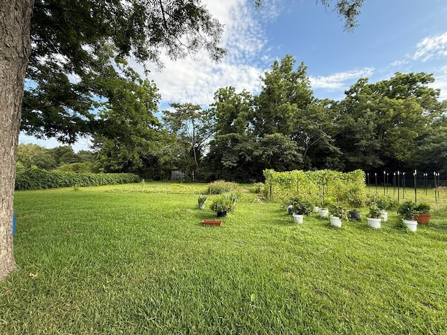 4443 Flowers Chapel Rd, Dothan, AL 36305 - photo 32