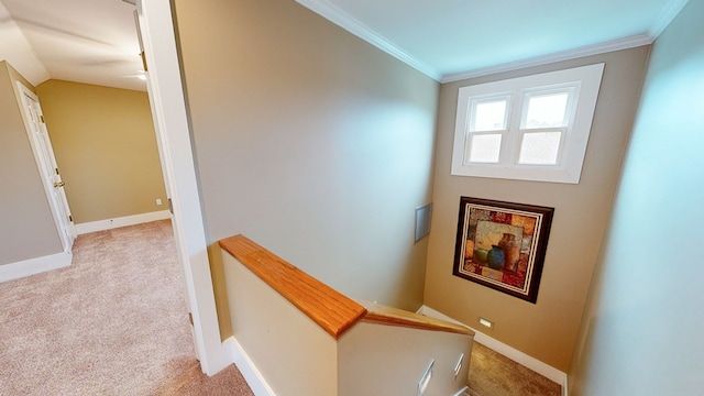 stairs featuring carpet, lofted ceiling, and ornamental molding