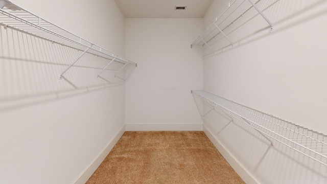 walk in closet featuring carpet floors