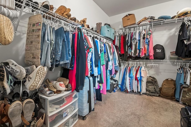 118 Brookstone Ct, Headland, AL 36345 - spacious closet with carpet