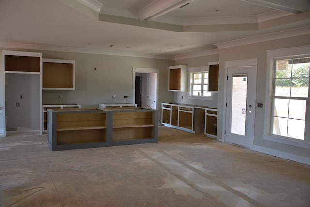 kitchen featuring a healthy amount of sunlight, a raised ceiling, and ornamental molding