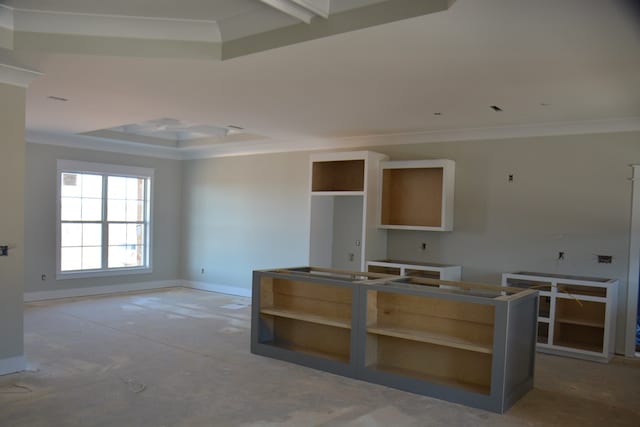 kitchen featuring a raised ceiling and ornamental molding