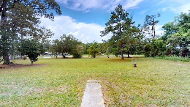 2252 E State Highway 52, Hartford, AL 36344 - photo 10