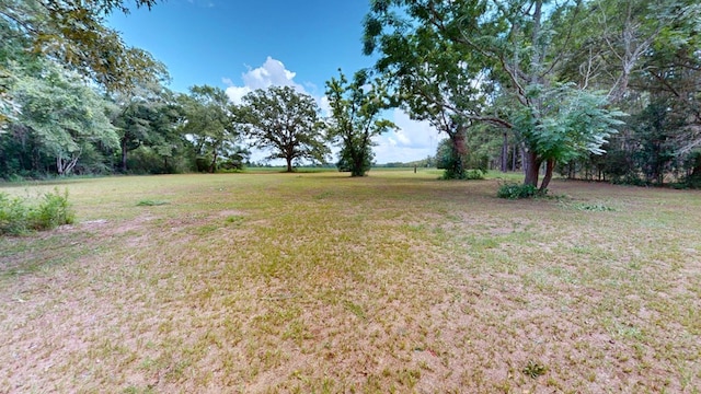 2252 E State Highway 52, Hartford, AL 36344 - photo 9