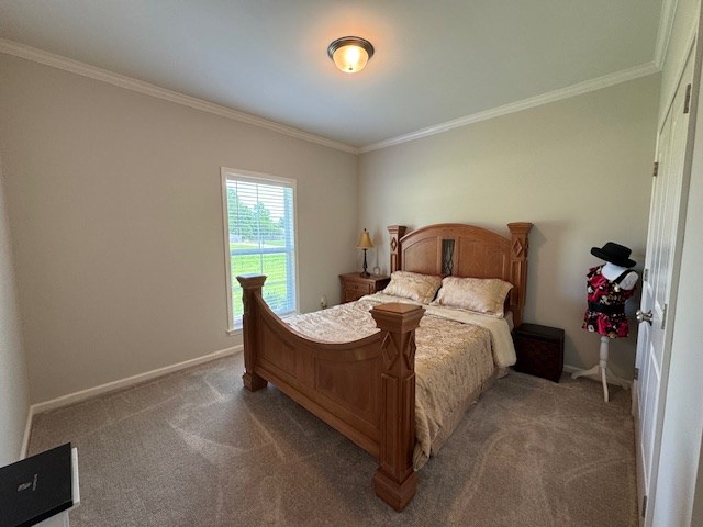 70 Beckett Ln, Newton, AL 36352 - carpeted bedroom featuring crown molding and baseboards