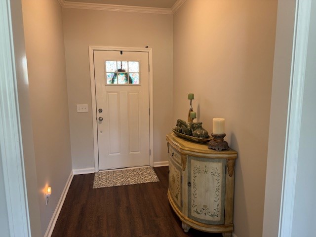 70 Beckett Ln, Newton, AL 36352 - foyer entrance featuring dark wood-style flooring, baseboards, and crown molding