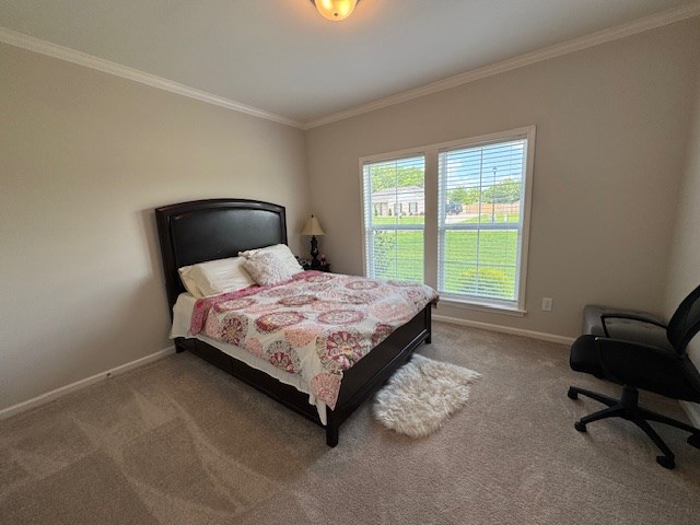 70 Beckett Ln, Newton, AL 36352 - bedroom featuring carpet floors, ornamental molding, and baseboards