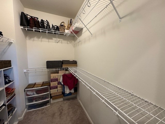 70 Beckett Ln, Newton, AL 36352 - walk in closet with carpet floors