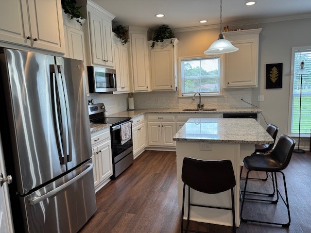 70 Beckett Ln, Newton, AL 36352 - kitchen with stainless steel appliances, a sink, dark wood-type flooring, healthy amount of natural light, and recessed lighting