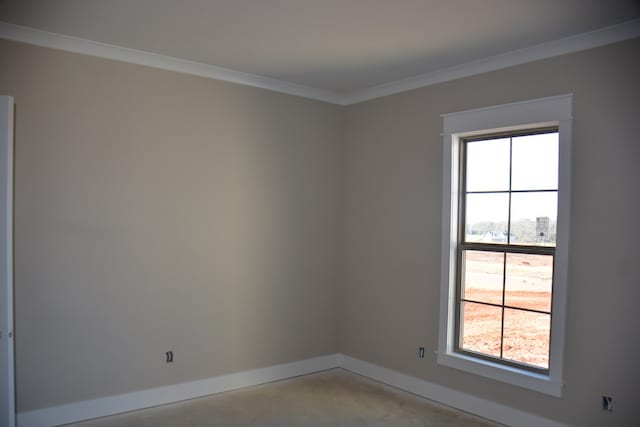 spare room with a wealth of natural light and crown molding