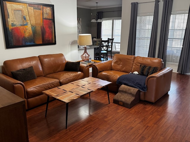 117 Lawrenceburg Ct, Dothan, AL 36305 - living room with dark wood-style flooring and crown molding