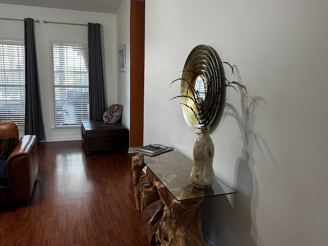 117 Lawrenceburg Ct, Dothan, AL 36305 - detailed view of wood finished floors and baseboards